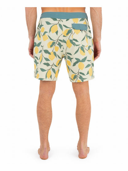 Phantom Eco Classic 18" Pineapple - Hurley