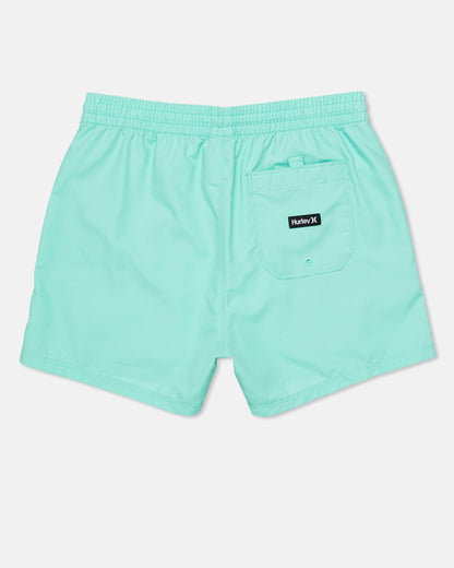 Icon Balboa Volley Boardshort 15" Tropical Mist - Hurley